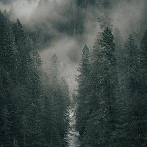 Meet your Posher, Manan